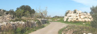 Bild "MALLORCA:banner-megalith-EsRacons.jpg"