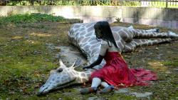 Statt einen toten Bären tröstet das Mädchen eine sterbende Giraffe.
