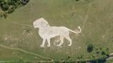 Weißer Löwe in Whipsnade. Seit 1933 Wegweiser für einen Safaripark.