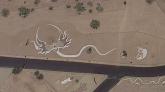Gefiederte Schlange bei Phoenix (USA)